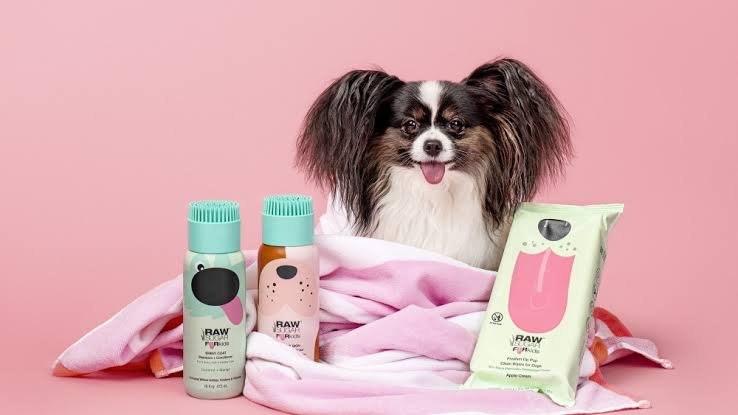 Pet Care D2C Brands
